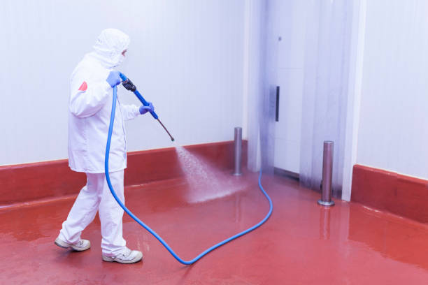 Best Paint Preparation  in Brookhaven, GA